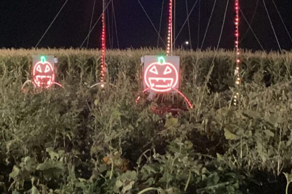 Halloween light show with singing pumpkins and lights that look like fireworks.
