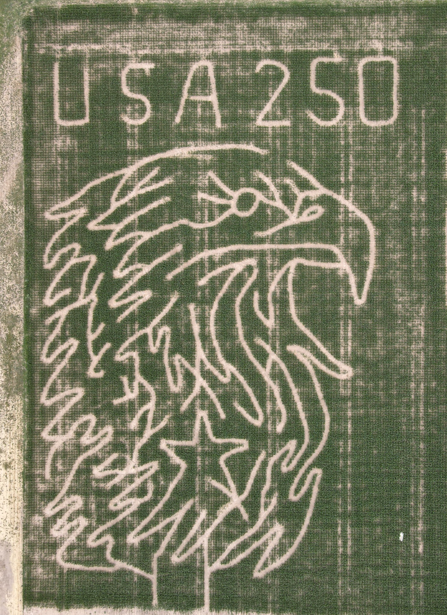 2026 USA 250 corn maze featuring an eagle and star
