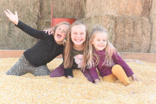 Fun in the corn pit