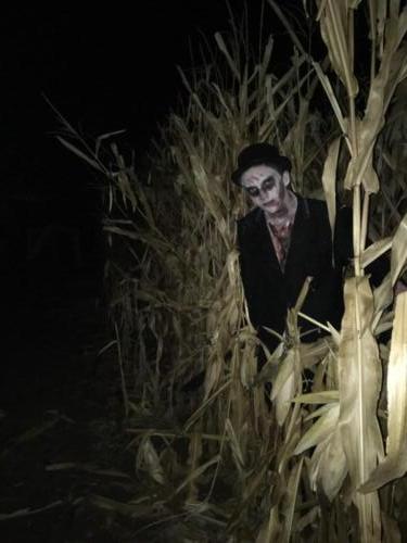 Spook from the Field of Fright