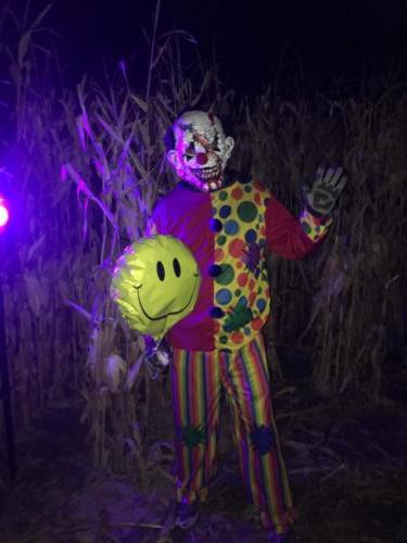 Field of Fright Creepy clown