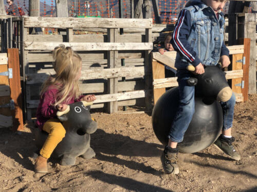 Riding a bull in the Lil' Buckaroo Rodeo!